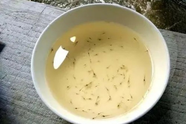 Ϻڲص