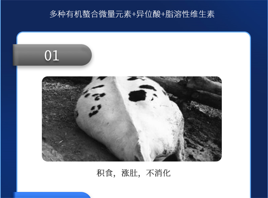 ӼŹţӼţ׳챦Ʒ