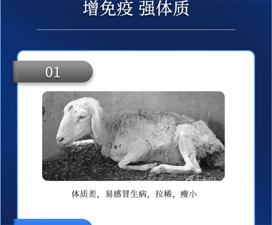 ӼŹţӼţ׳챦Ʒ