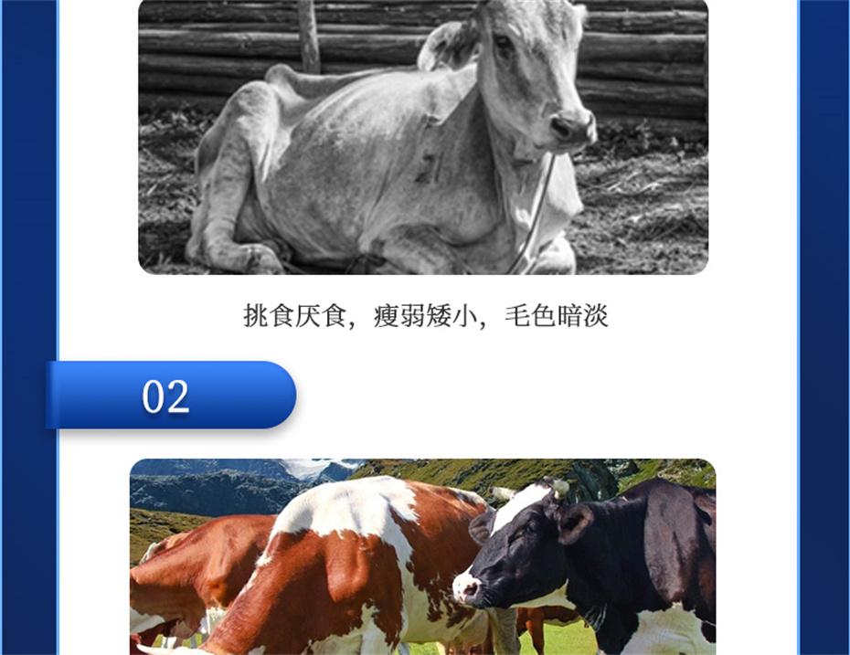 ӼŹţӼţ׳챦Ʒ