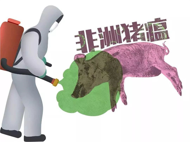 йϷչ̳