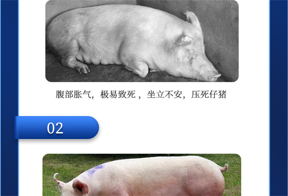 ӼŹӼĸͨƷ