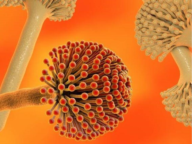ùطشʩ