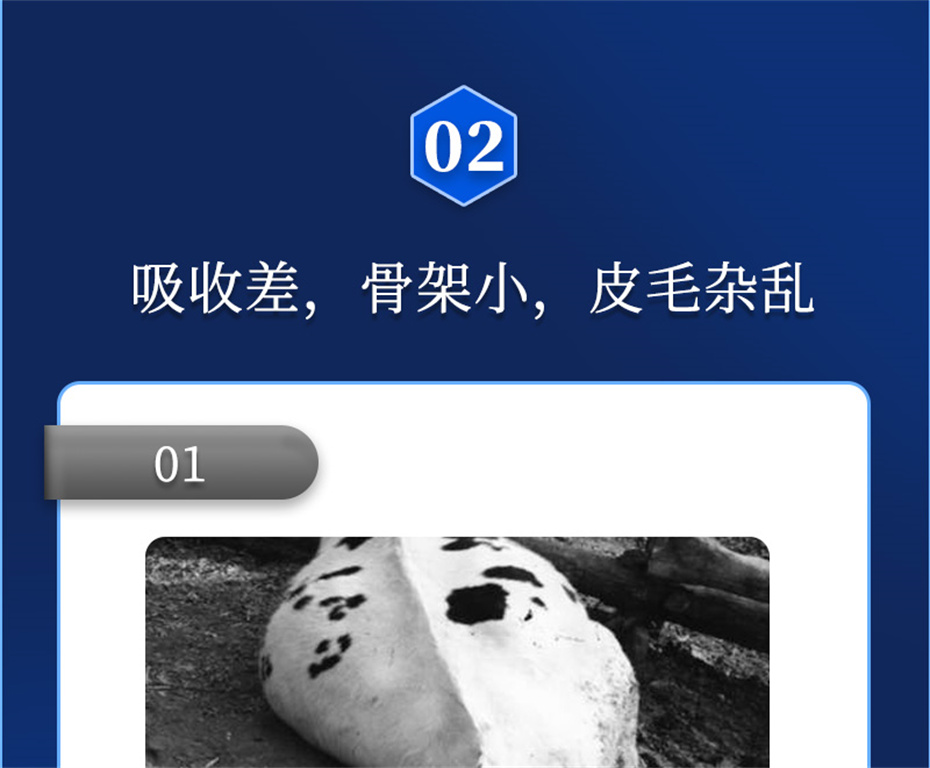 ӼŹţӼţԪ˧Ʒ