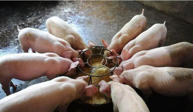 עЩ