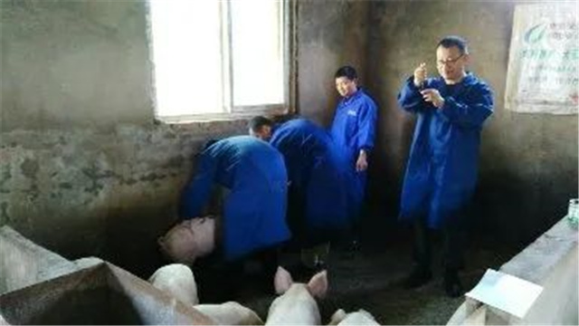 Ӽ