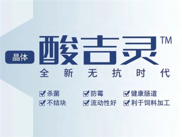 Ἢ飨ữ־Ч̽