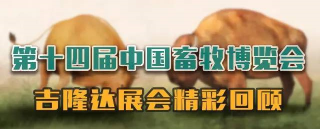 ӼŹչй