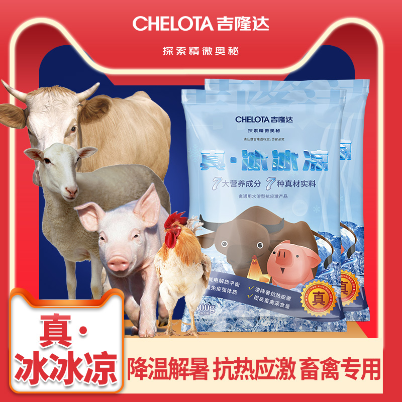 Ӽ桤