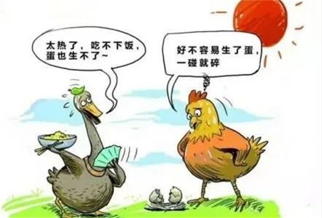 Ӧ