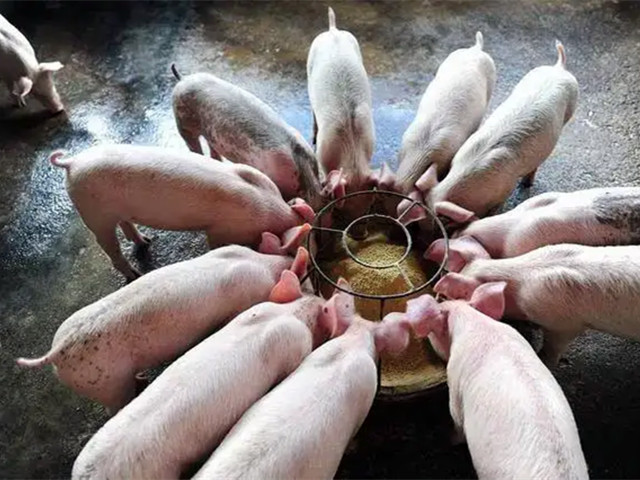 Ӽ
