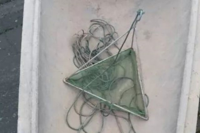 Ϻʲô