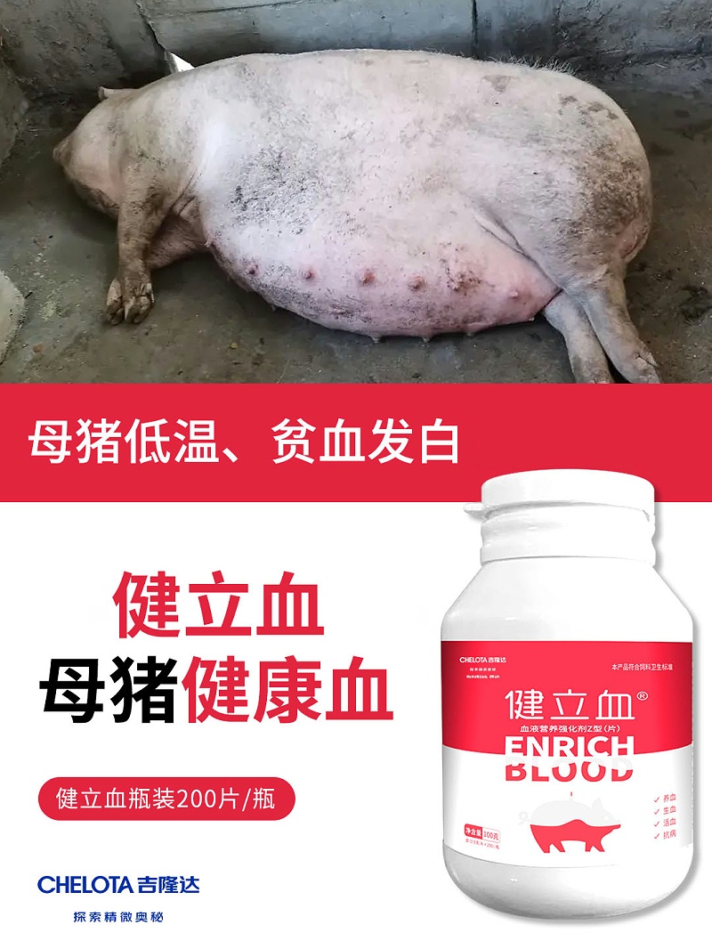 Ѫ