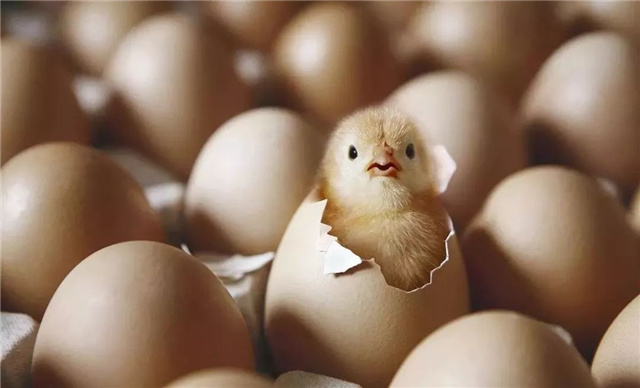 Ӽ
