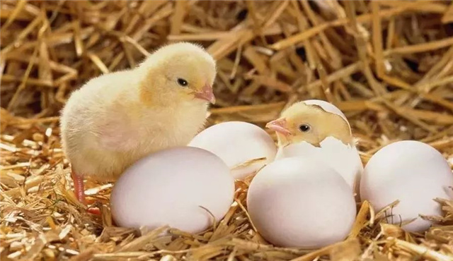 Ӽ