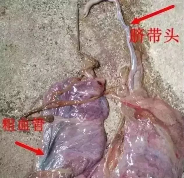 жĸǷ1ͷ