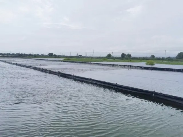 лплˮеӦüֵ